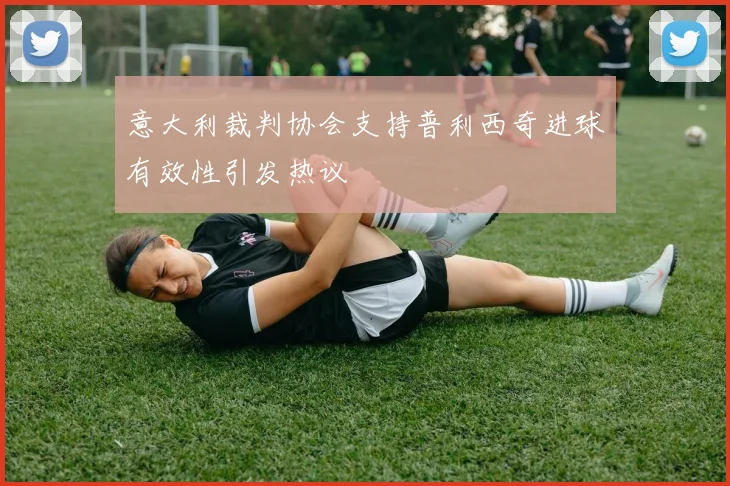 意大利裁判协会支持普利西奇进球有效性引发热议