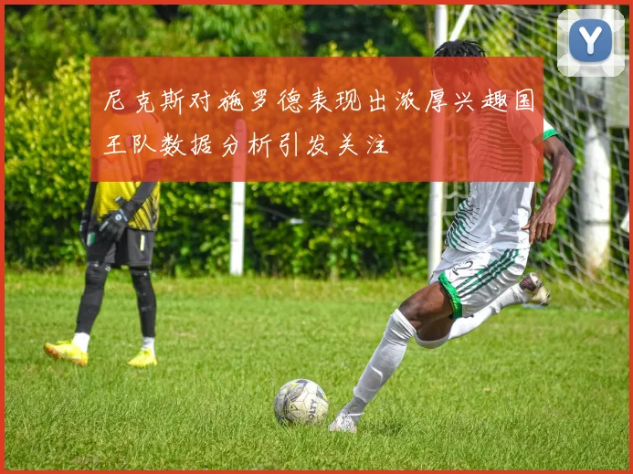 尼克斯对施罗德表现出浓厚兴趣国王队数据分析引发关注