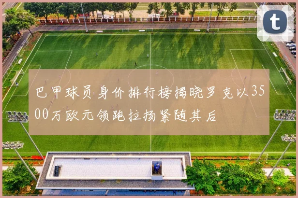 巴甲球员身价排行榜揭晓罗克以3500万欧元领跑拉扬紧随其后